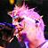 Mudvayne