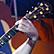 Dave Matthews