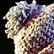 Michelle Branch