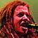 Ani DiFranco